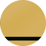 Золото глянец/чёрный пластик