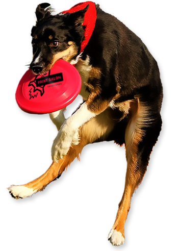 Зачем это вам?