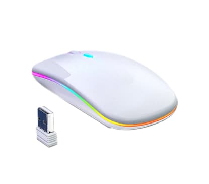 Мышь компьютерная