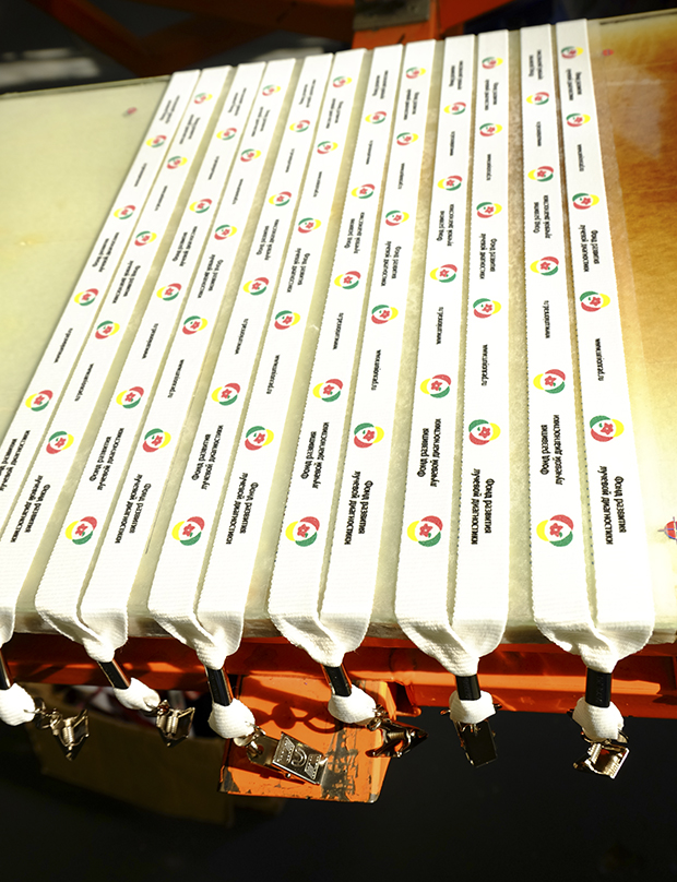 ланьярды с лого