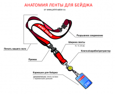 Анатомия ленты для бейджа