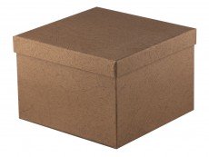 2731.01_9_tif_1000x1000 2731.01_9_tif_1000x1000