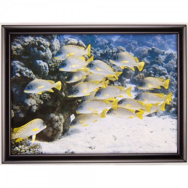 z8501_3_tif_1000x1000