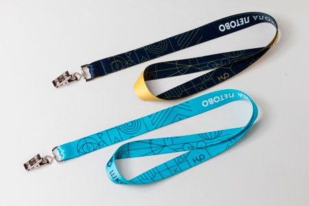 Ленты и Ланьярды